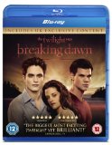 The Twilight Saga: Breaking Dawn - Part 1 (Single Disc) [Blu-ray]