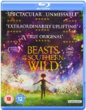 Beasts Of The Southern Wild [Blu-ray]