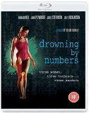 Drowning By Numbers - (Dual Format Blu-ray & DVD )