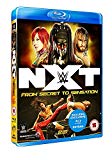 WWE: NXT - From Secret to Sensation  [Blu-ray]