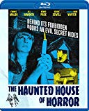 The Haunted House of Horror (Blu-Ray) (Director Approved Restoration)
