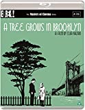 A Tree Grows In Brooklyn (Masters Of Cinema) Blu Ray [Blu-ray]