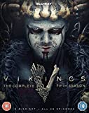Vikings Season 5: Volumes 1 & 2 BD [Blu-ray] [2019]