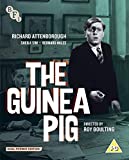 The Guinea Pig (DVD + Blu-ray)